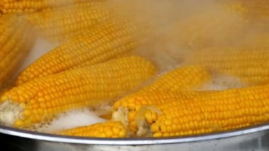 Görüntüleri büyük bir tencerede haşlama Mısır ile