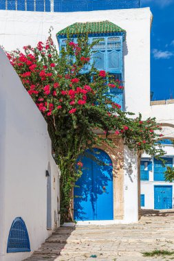 Typical traditional Tunisian ornamental doors and architectural elements in the city of Sidi Bou Said, Tunisia, the North African country.