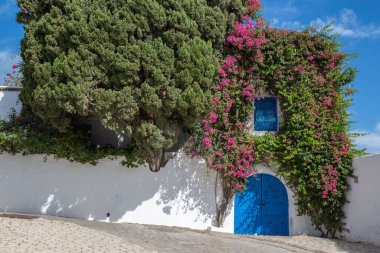 Sidi Bou Said, Kartaca, Tunus, Kuzey Afrika 'da tipik Tunus mimarisine sahip sokaklar