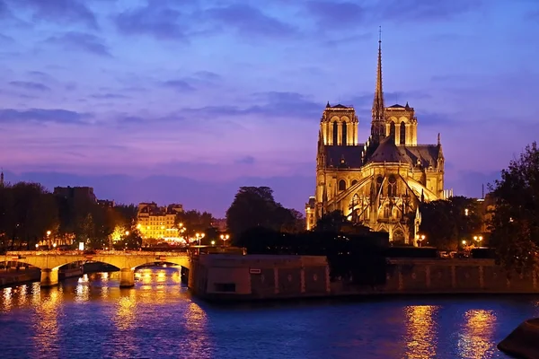 Notre Dame de Paris ночью Лицензионные Стоковые Фото
