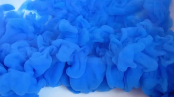 Movimento inchiostro blu in acqua — Video Stock