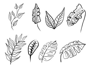 Bir dizi soyut yaprak. El çizimi sanat eseri. Siyah çizim, botanik öğe. Tebrik kartları ve davetler için vektör illüstrasyonuName