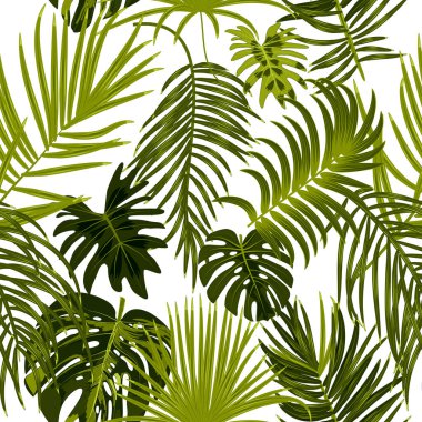 Yaprakların pürüzsüz deseni canavar, çiçekler, palmiye ağaçlarının tropik orman yaprakları.. 