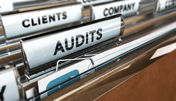 Interne Audit, bedrijfsmanagement — Stockfoto