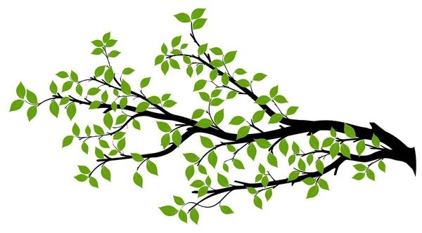 Ramo albero Silhouette, grafica vettoriale — Vettoriale Stock