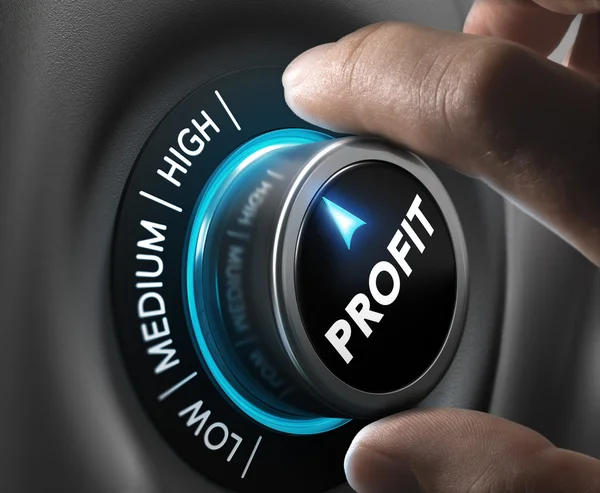 Profit, Finance Concept — Stock Photo, Image