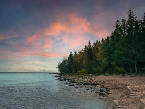 Ladoga Dawn Hermosa Naturaleza Cielo Lago Bosque —  Fotos de Stock