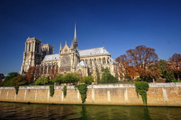 Cathedrale Notre Dame de Paris, view of southern facade from the river Seine Stock Photo