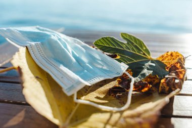 Tıbbi maske sarı sonbahar yapraklarına dayanır.