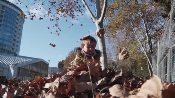 Sonbaharda yavaş çekimde yaprakları fırlatan çocuk. — Stok video