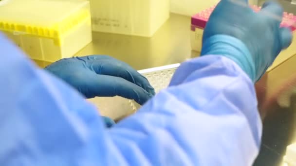 Hands in rubber gloves hold samples of PCR test — Stock Video