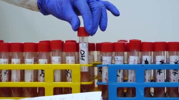 Тестовые трубки с вакциной в лабораторной руке проходят тест на пробирку pkr — стоковое видео