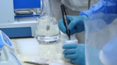 PCR laboratuvar test örneklerinde çalış