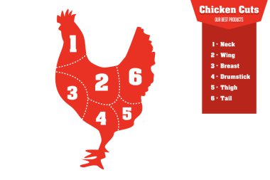 Kesim Infographic et Bölümleri kümesini tavuk, vektör
