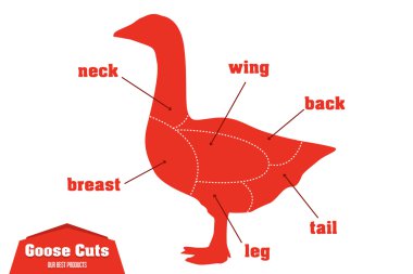 Kesim Infographic et Bölümleri kümesini kaz, vektör