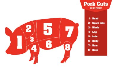 Domuz eti keser et parçaları, dizi Infographic vektör