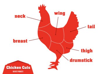 Kesim Infographic et Bölümleri kümesini tavuk, vektör