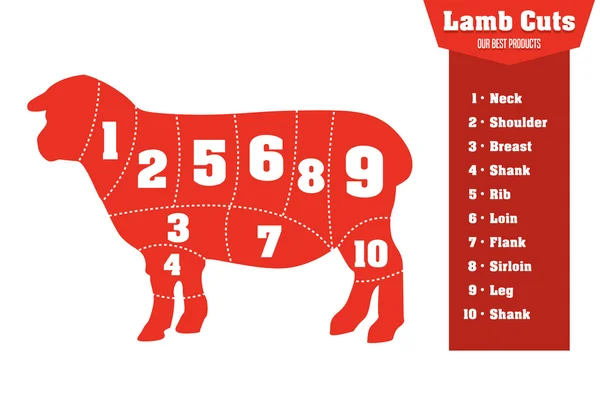 Domba memotong infografis set daging bagian, vektor - Stok Vektor