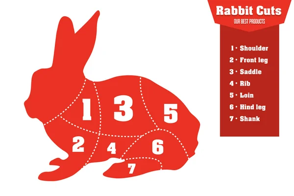 Tagli di coniglio set infografico di parti di carne, vettore — Vettoriale Stock