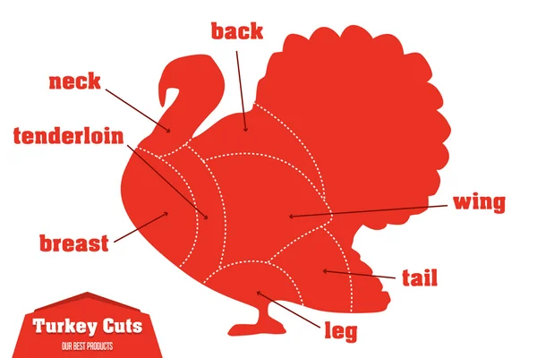 Турция режет инфографический набор мясных частей, вектор — стоковый вектор
