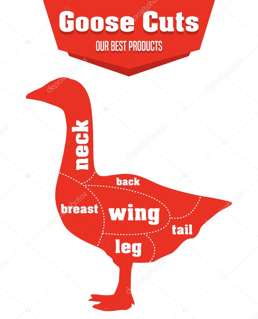 Goose cuts infographic set of meat parts, vector — Stock Vector