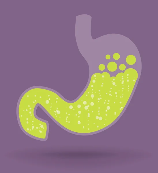 Icône vectorielle de l'estomac avec acide, concept de nutrition — Image vectorielle