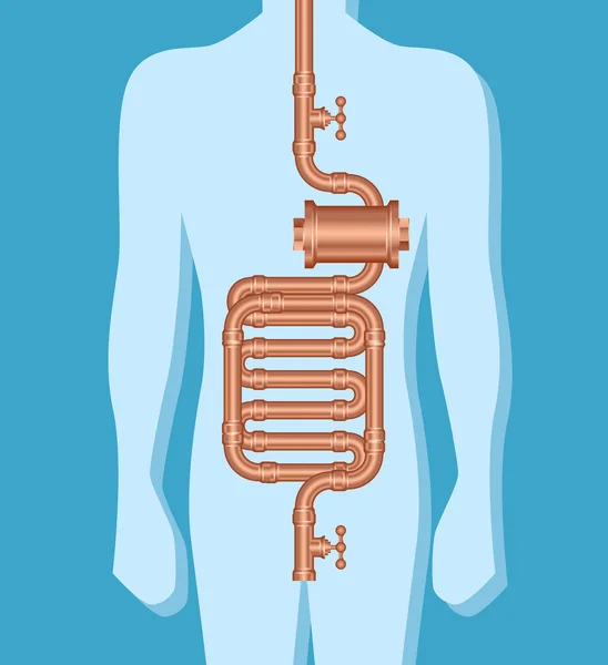 Digestive system conceptual, vector illustration with pipes — Stock Vector