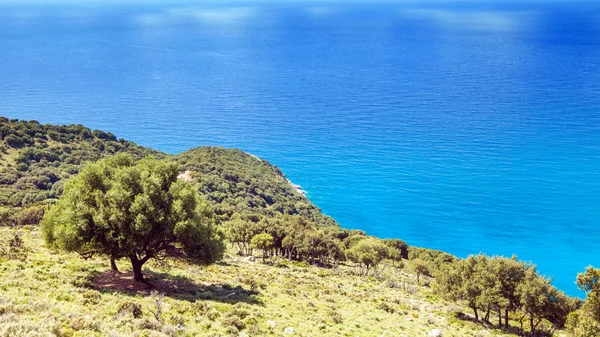 Hav och skog Visa landskap under sommaren, Kefalonia Grekland — Stockfoto