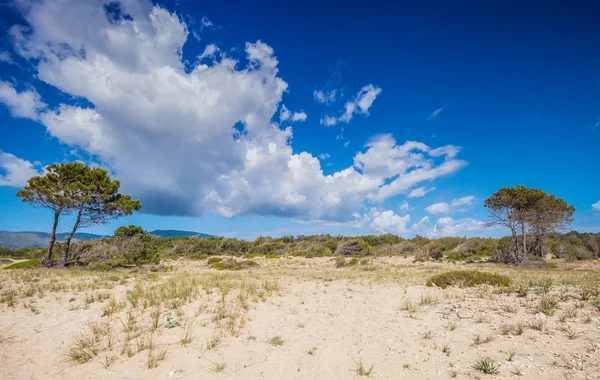 Desierto o dunas arenosas en el caluroso día de verano Zakynthos Grecia — Foto de Stock