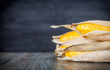 Ahşap masa koyu arka plan kopya alanı üzerinde sahte Mısır