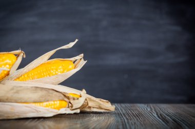 Ahşap masa koyu arka plan kopya alanı üzerinde sahte Mısır