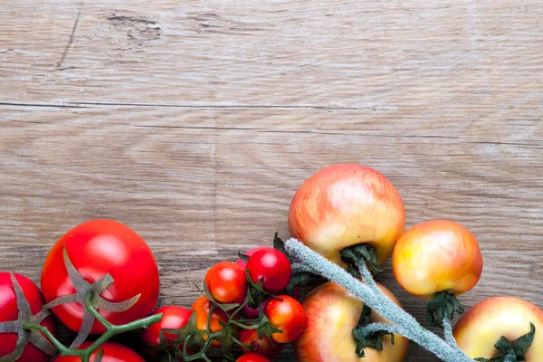 Świeże, dojrzałe pomidory na płycie tło, miejsce — Zdjęcie stockowe