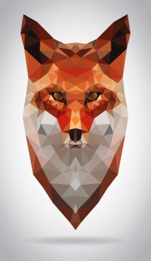 fox geometrik modern illüstrasyon izole baş vektör