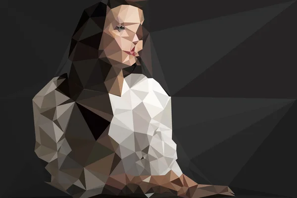 Mujer retrato vector geométrico moderno ilustración — Archivo Imágenes Vectoriales