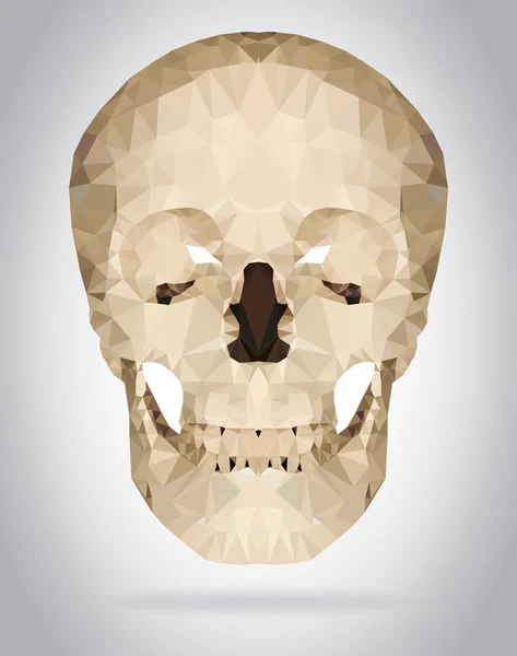 Human skull vector isolated geometric illustration — Stock Vector