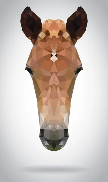 Vektor kepala kuda mengisolasi ilustrasi geometris modern - Stok Vektor