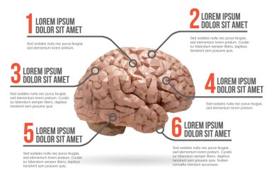İnsan beyni Infographic, vektör çizim