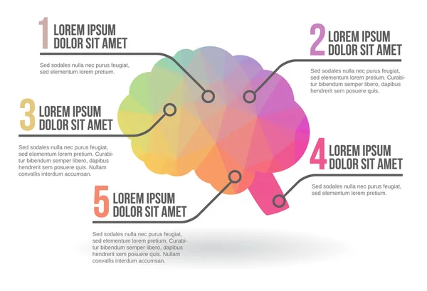 Lidský mozek infographic, vektorové ilustrace — Stockový vektor