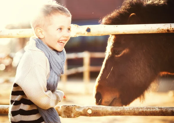 Niño sonriente con pony en mini zoológico — Foto de Stock