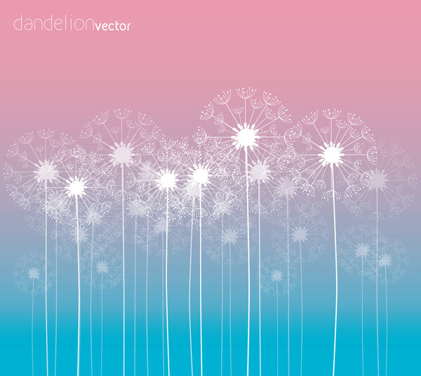 Dandelion vector background, colorful illustration