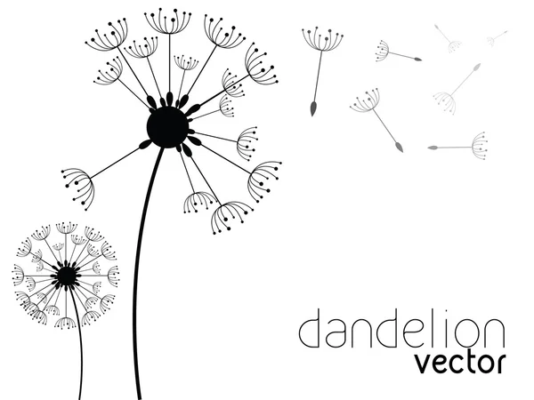 Dandelion pada angin, latar belakang vektor - Stok Vektor