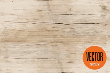 Vektör yan çapraz kesit görünümü kitap