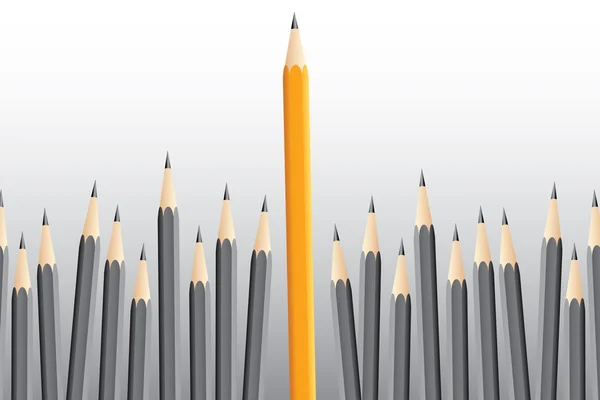 Lápis cinzentos e um conceito de líder lápis amarelo — Vetor de Stock