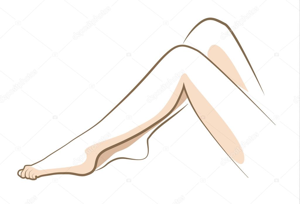 Close up woman legs drawn in vector lines