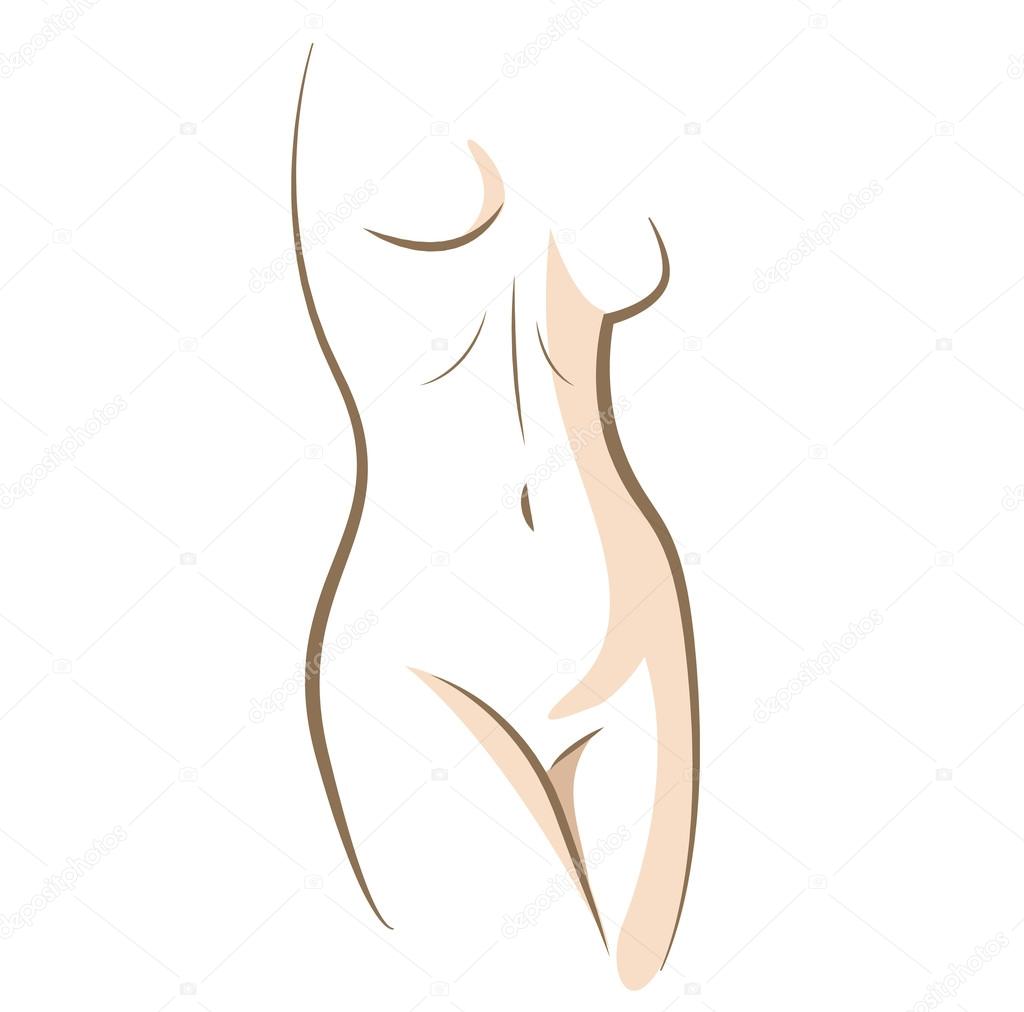 Close up woman body drawn in vector lines
