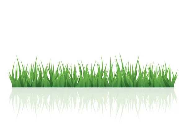 Herbe verte vectorielle pour votre projet — Image vectorielle