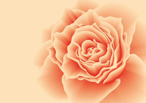 Rose rouge sur fond rose. — Image vectorielle