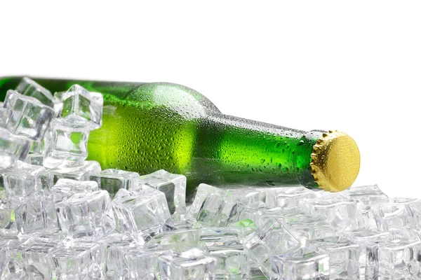 Koude groene fles bier — Stockfoto