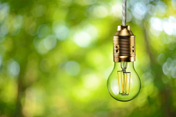 LED filament ecologic bulb — Stock Photo, Image