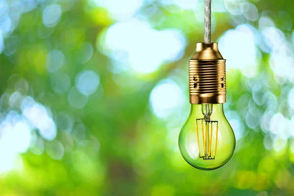 LED filament ecologic bulb — Stock Photo, Image